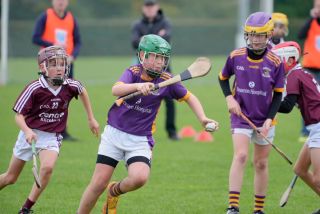 Festival of Hurling Photos (U12)