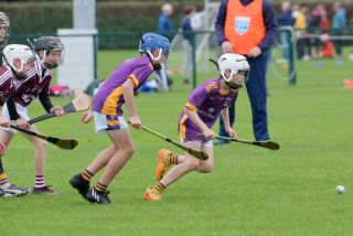Festival of Hurling Photos (U12)