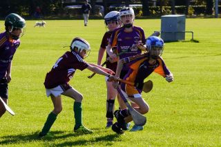 U12 Hurling League Div.11 vs Raheny