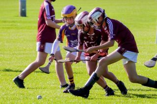 U12 Hurling League Div.11 vs Raheny
