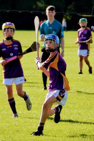 U12 Hurling League Div.11 vs Raheny