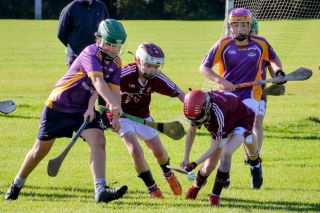 U12 Hurling League Div.11 vs Raheny