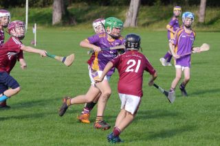 U12 Hurling League Div.11 vs Raheny