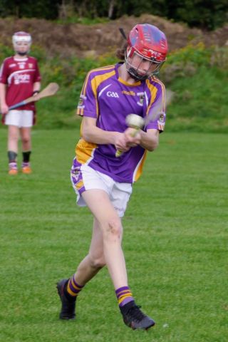 U12 Hurling League Div.11 vs Raheny
