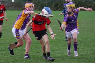 U12 Hurling League Div.11 vs. Trinity Gaels