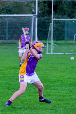 U12 Hurling League Div.11 vs. Trinity Gaels