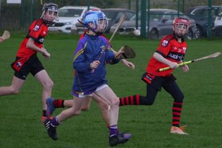 U12 Hurling League Div.11 vs. Trinity Gaels