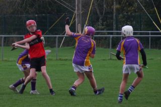 U12 Hurling League Div.11 vs. Trinity Gaels