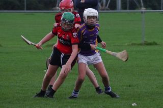 U12 Hurling League Div.11 vs. Trinity Gaels