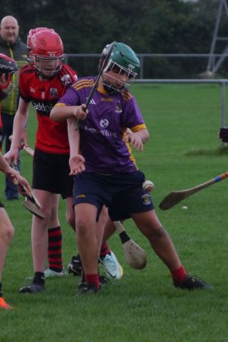 U12 Hurling League Div.11 vs. Trinity Gaels