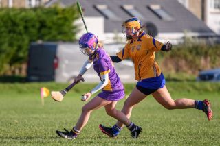 Camogie U21 Championship Division 3 Group B  Kilmacud Crokes V Na Fianna 