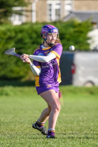Camogie U21 Championship Division 3 Group B  Kilmacud Crokes V Na Fianna 