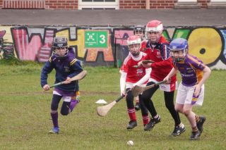 U10 Hurling Gp.1Z  vs St Brigids
