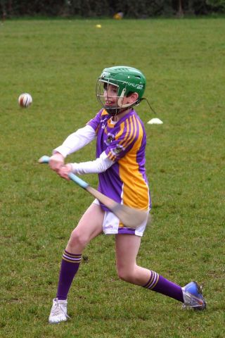 U10 Hurling Gp.1Z  vs St Brigids