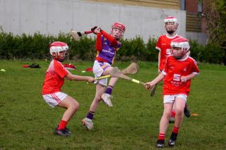 U10 Hurling Gp.1Z  vs St Brigids
