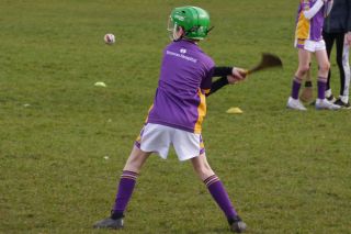 U10 Hurling Gp.1Z  vs St Brigids