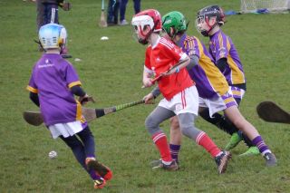 U10 Hurling Gp.1Z  vs St Brigids