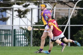 Adult Hurling League Division Eight  vs St Maurs