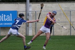 Adult Hurling League Division Four vs Skerries Harps