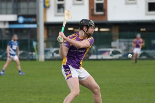 Adult Hurling League Division Four vs Skerries Harps