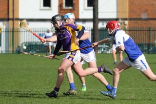 Adult Hurling League Division 7 vs St Kevins