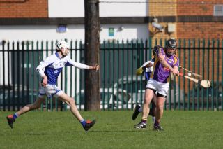 Adult Hurling League Division 7 vs St Kevins
