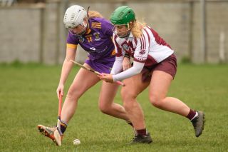 Camogie Junior 3 League   Kilmacud Crokes Versus St Finians 