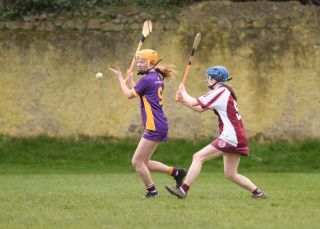 Camogie Junior 3 League   Kilmacud Crokes Versus St Finians 