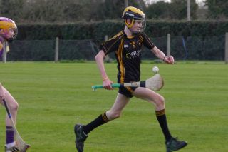 KC3 (2010 group) Hurling vs Wild Geese
