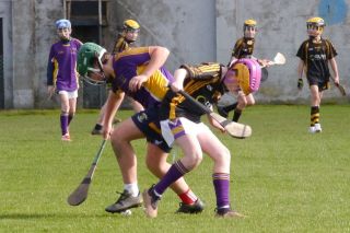 KC3 (2010 group) Hurling vs Wild Geese