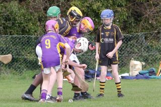 KC3 (2010 group) Hurling vs Wild Geese