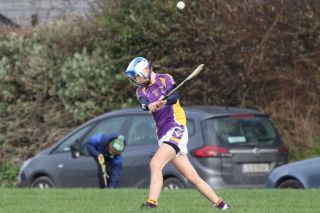 U15 Hurling Feile Div.6 Gp.A vs Cula
