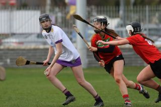 Leinster Club League Division 2 Group B vs St Martins