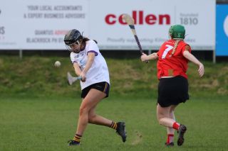 Leinster Club League Division 2 Group B vs St Martins