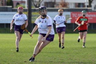 Leinster Club League Division 2 Group B vs St Martins