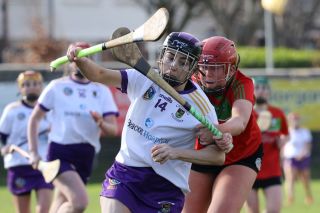 Leinster Club League Division 2 Group B vs St Martins