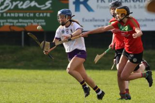 Leinster Club League Division 2 Group B vs St Martins