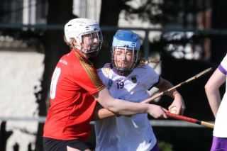 Leinster Club League Division 2 Group B vs St Martins