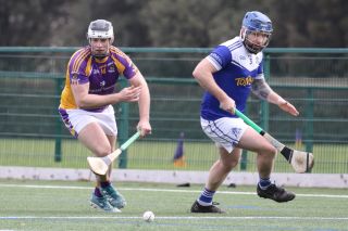 ADULT HURLING LEAGUE DIVISION FOUR Versus KEVINS