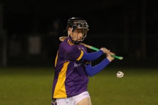 Minor Hurling League Division One vs Ballyboden St Endas