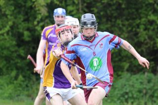 Adult Hurling League Division Seven vs Naomh Olafs