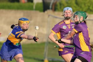 Camogie Senior 1 League vs Castleknock