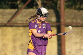 Camogie Inter 2 League vs Naomh Olafs