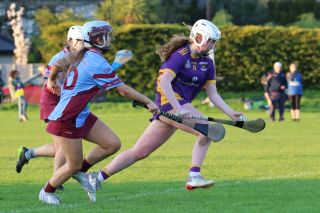 Camogie Inter 2 League vs Naomh Olafs