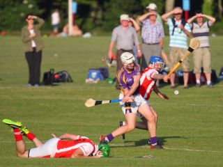 2013_07_08_70301AHL1_CualaW
