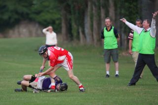 2013_07_16_71193AHL5_BrgdsW