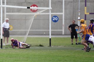 2013_07_21_71649AHL1_NaFiannaW