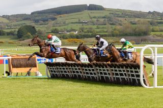 Punchestown 2024