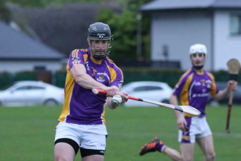 Adult Hurling League Division Seven vs St Brendans