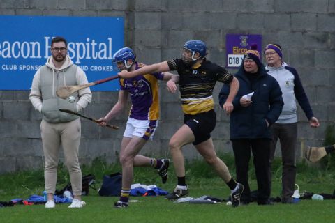 Adult Hurling League Division Seven vs St Brendans